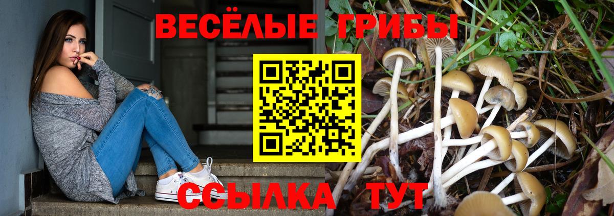 Галлюциногенные грибы MAGIC MUSHROOMS  Галлюциногенные грибы Cubensis  Вход с VPN  Стрежевой 